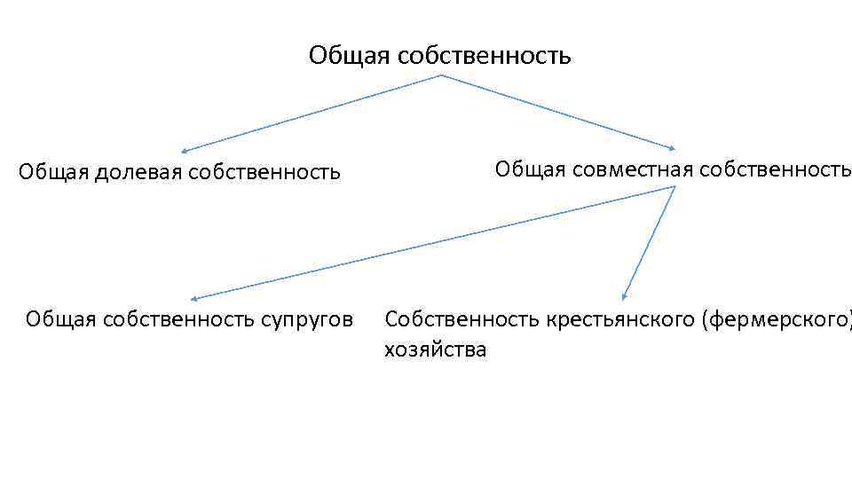 Общая собственность это