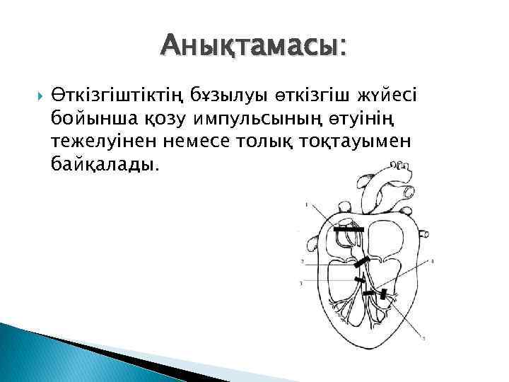 Анықтамасы: Өткізгіштіктің бұзылуы өткізгіш жүйесі бойынша қозу импульсының өтуінің тежелуінен немесе толық тоқтауымен байқалады.