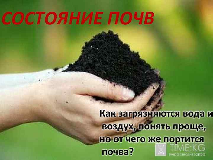 СОСТОЯНИЕ ПОЧВ 