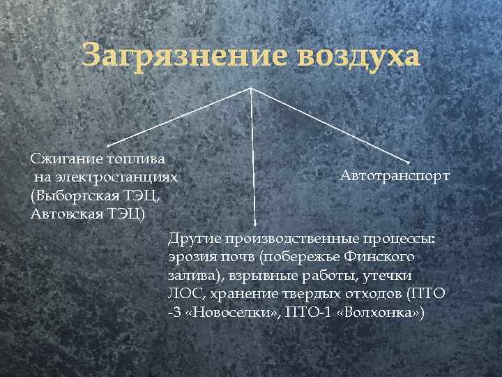 Загрязнение воздуха Сжигание топлива на электростанциях (Выборгская ТЭЦ, Автовская ТЭЦ) Автотранспорт Другие производственные процессы: