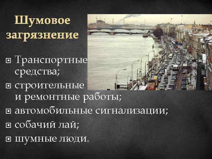 Шумовое загрязнение Транспортные средства; строительные и ремонтные работы; автомобильные сигнализации; собачий лай; шумные люди.