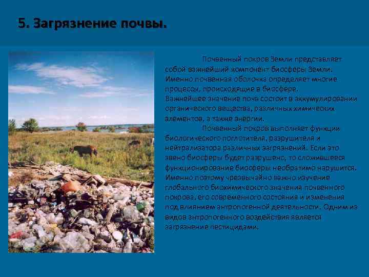 5. Загрязнение почвы. Почвенный покров Земли представляет собой важнейший компонент биосферы Земли. Именно почвенная