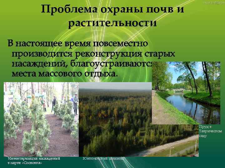 Проблема охраны почв и растительности В настоящее время повсеместно производится реконструкция старых насаждений, благоустраиваются