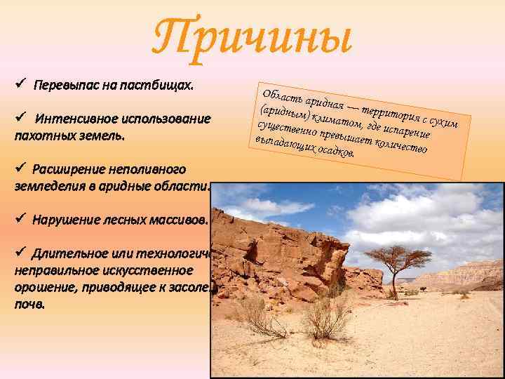 Причины ü Перевыпас на пастбищах. ü Интенсивное использование пахотных земель. ü Расширение неполивного земледелия