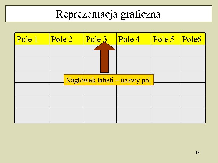 Reprezentacja graficzna Pole 1 Pole 2 Pole 3 Pole 4 Pole 5 Pole 6