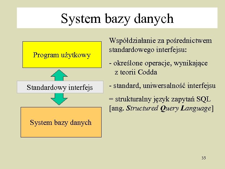 System bazy danych Program użytkowy Standardowy interfejs Współdziałanie za pośrednictwem standardowego interfejsu: - określone