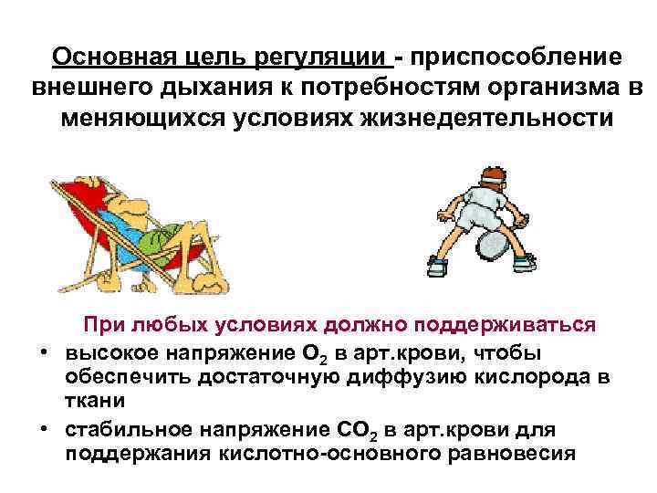 Основная цель регуляции - приспособление внешнего дыхания к потребностям организма в меняющихся условиях жизнедеятельности