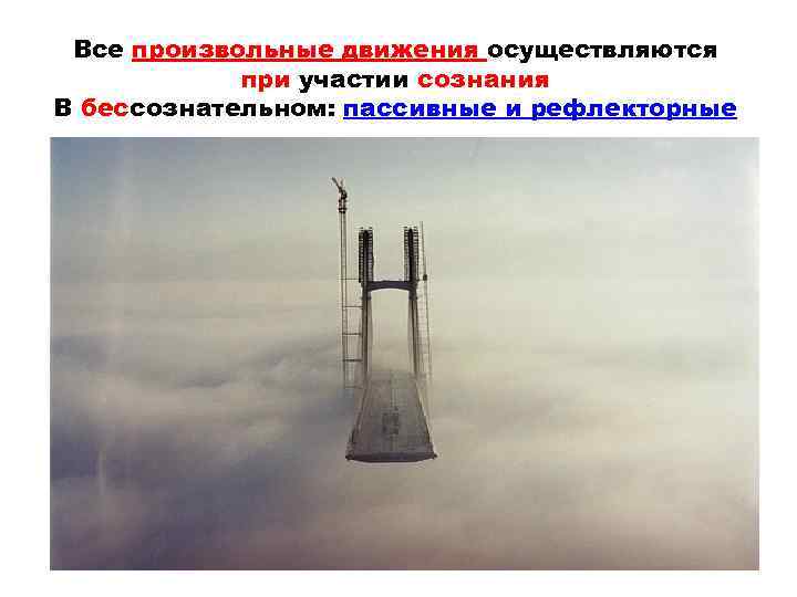 Все произвольные движения осуществляются при участии сознания В бессознательном: пассивные и рефлекторные 4 