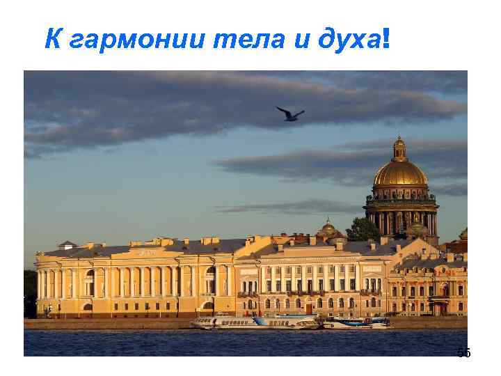 К гармонии тела и духа! 55 