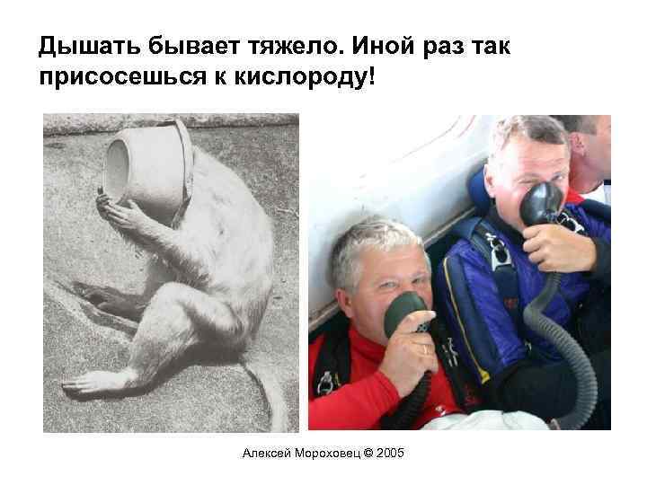 Дышать бывает тяжело. Иной раз так присосешься к кислороду! Алексей Мороховец © 2005 