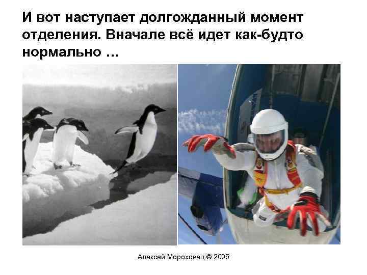 И вот наступает долгожданный момент отделения. Вначале всё идет как-будто нормально … Алексей Мороховец