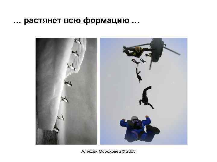 … растянет всю формацию … Алексей Мороховец © 2005 