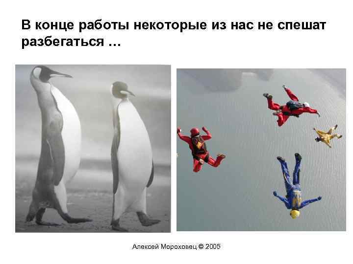 В конце работы некоторые из нас не спешат разбегаться … Алексей Мороховец © 2005