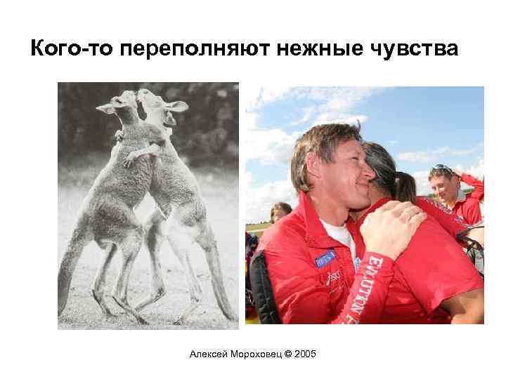 Кого-то переполняют нежные чувства Алексей Мороховец © 2005 