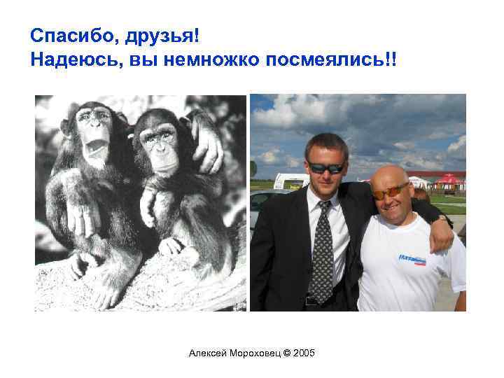 Спасибо, друзья! Надеюсь, вы немножко посмеялись!! Алексей Мороховец © 2005 