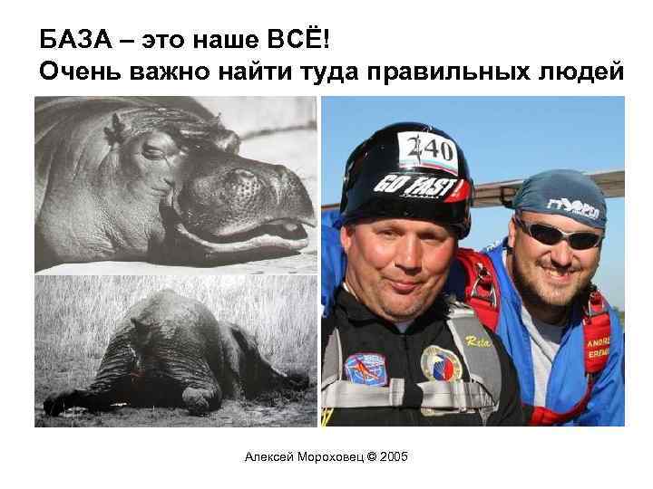 БАЗА – это наше ВСЁ! Очень важно найти туда правильных людей Алексей Мороховец ©