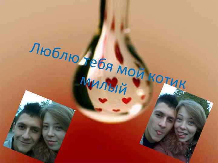 Любл ю теб я мой котик милы й 