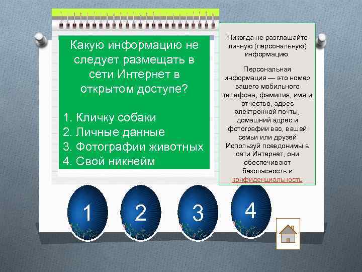 Какую информацию не следует размещать в сети Интернет в открытом доступе? 1. Кличку собаки