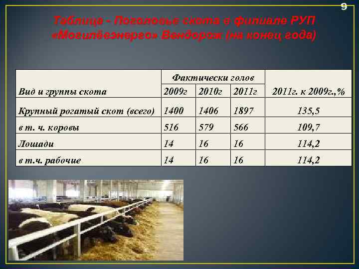 9 Таблица - Поголовье скота в филиале РУП «Могилёвэнерго» Вендорож (на конец года) Вид