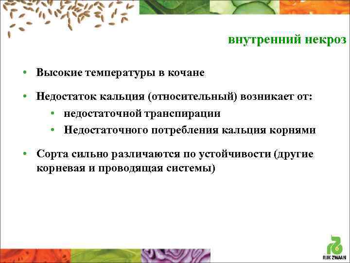 внутренний некроз • Высокие температуры в кочане • Недостаток кальция (относительный) возникает от: •