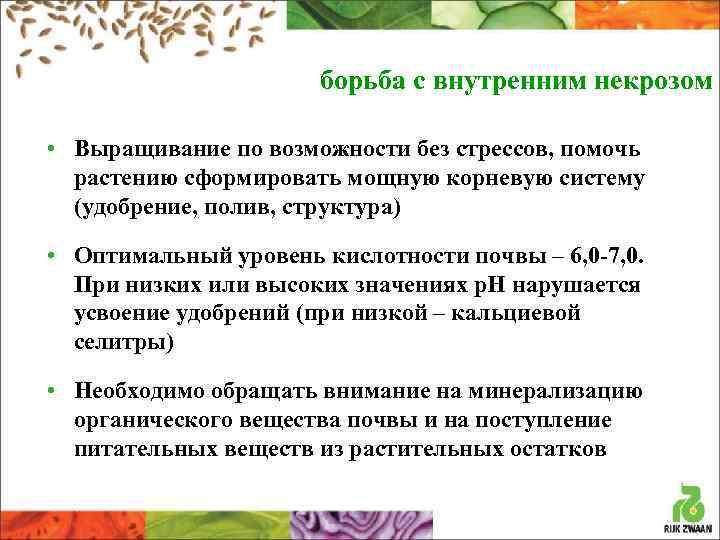 борьба с внутренним некрозом • Выращивание по возможности без стрессов, помочь растению сформировать мощную