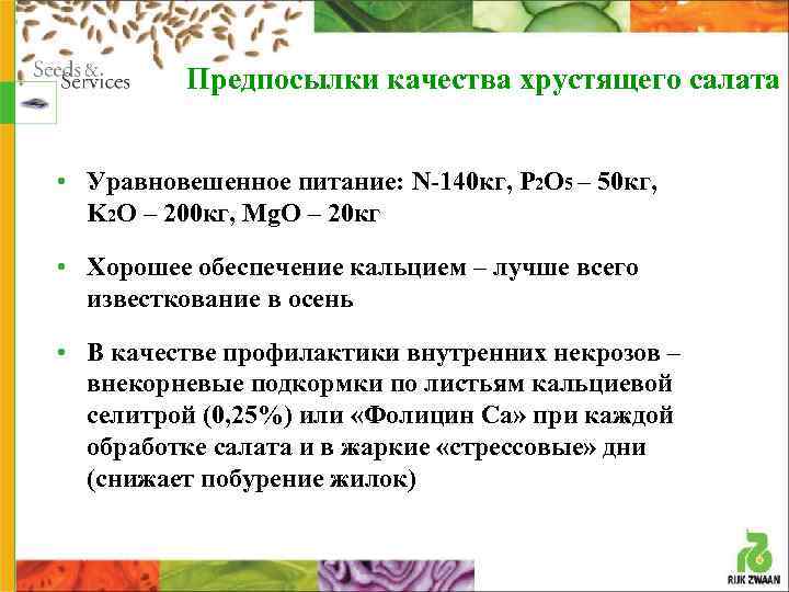 Предпосылки качества хрустящего салата • Уравновешенное питание: N-140 кг, P 2 O 5 –