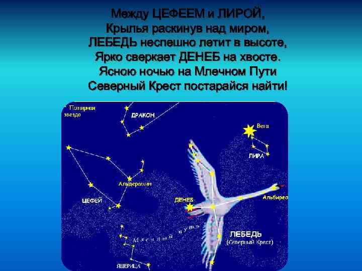 Между ЦЕФЕЕМ и ЛИРОЙ, Крылья раскинув над миром, ЛЕБЕДЬ неспешно летит в высоте, Ярко