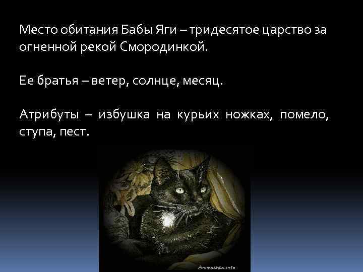 Место обитания Бабы Яги – тридесятое царство за огненной рекой Смородинкой. Ее братья –