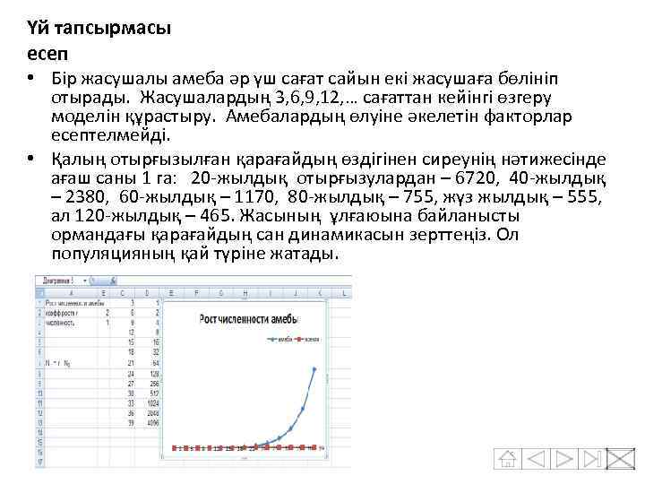 Үй тапсырмасы есеп • Бір жасушалы амеба әр үш сағат сайын екі жасушаға бөлініп