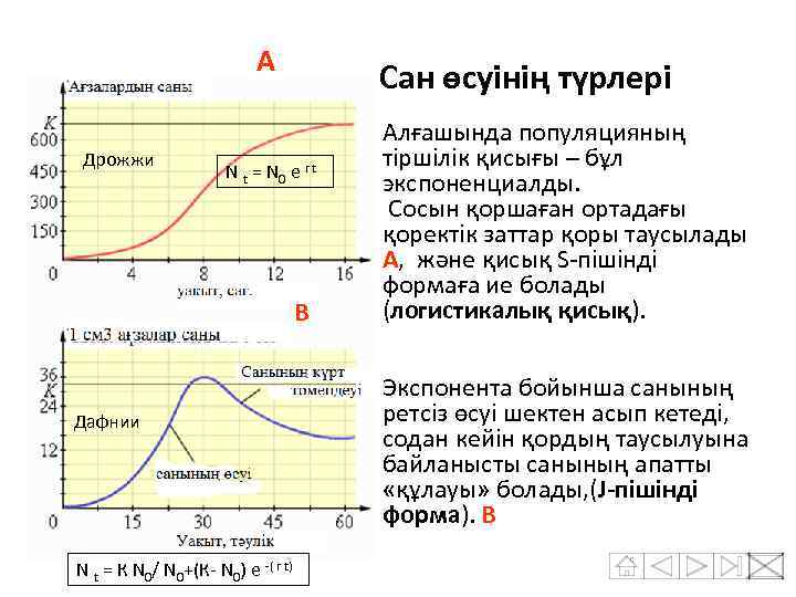 А Дрожжи Сан өсуінің түрлері N t = N 0 e r t B