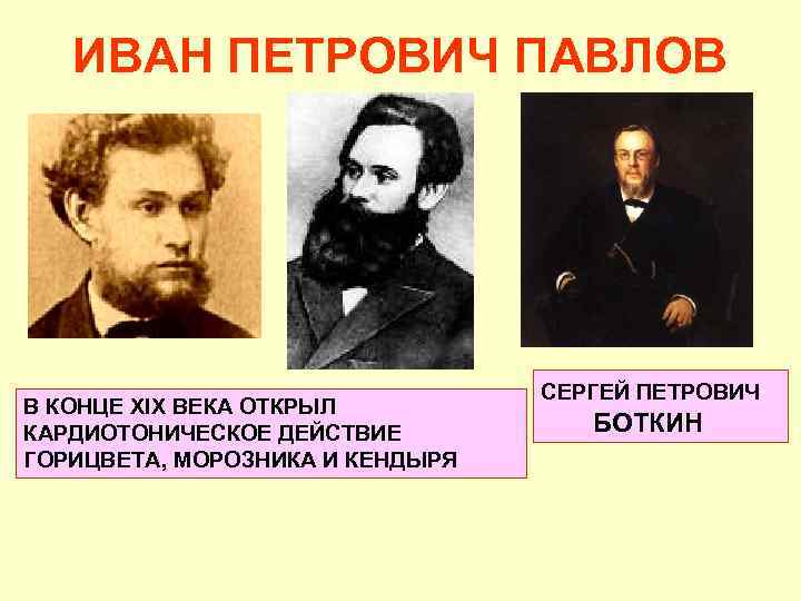 ИВАН ПЕТРОВИЧ ПАВЛОВ В КОНЦЕ XIX ВЕКА ОТКРЫЛ КАРДИОТОНИЧЕСКОЕ ДЕЙСТВИЕ ГОРИЦВЕТА, МОРОЗНИКА И КЕНДЫРЯ