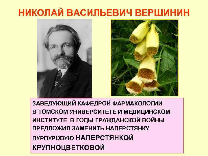 НИКОЛАЙ ВАСИЛЬЕВИЧ ВЕРШИНИН ЗАВЕДУЮЩИЙ КАФЕДРОЙ ФАРМАКОЛОГИИ В ТОМСКОМ УНИВЕРСИТЕТЕ И МЕДИЦИНСКОМ ИНСТИТУТЕ В ГОДЫ