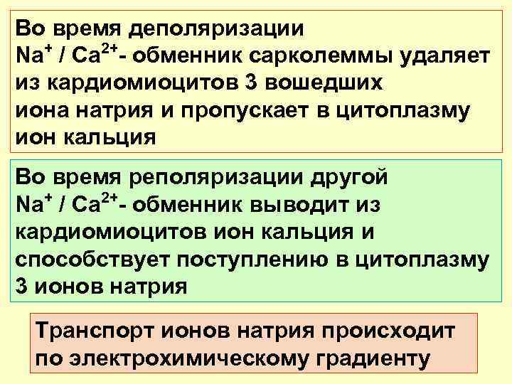 Во время деполяризации Na+ / Ca 2+- обменник сарколеммы удаляет из кардиомиоцитов 3 вошедших