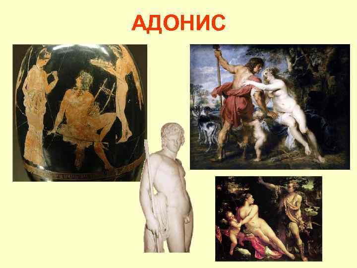 АДОНИС 