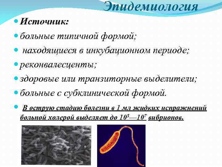 Эпидемиология Источник: больные типичной формой; находящиеся в инкубационном периоде; реконвалесценты; здоровые или транзиторные выделители;