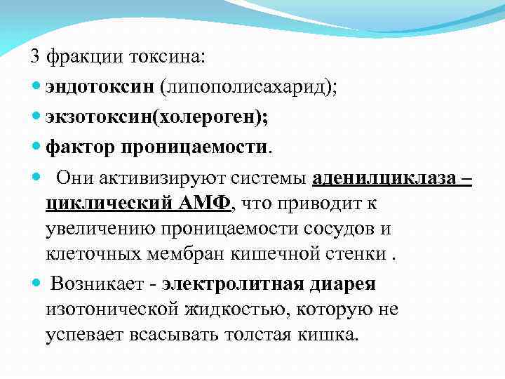 3 фракции токсина: эндотоксин (липополисахарид); экзотоксин(холероген); фактор проницаемости. Они активизируют системы аденилциклаза – циклический