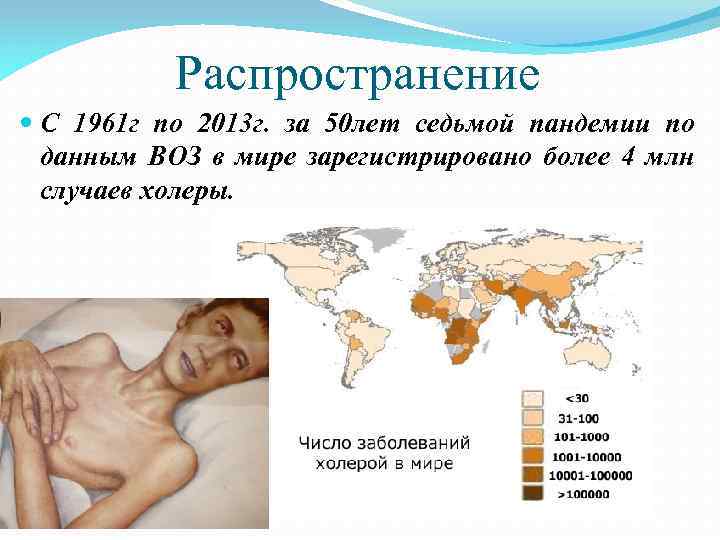 Распространение С 1961 г по 2013 г. за 50 лет седьмой пандемии по данным