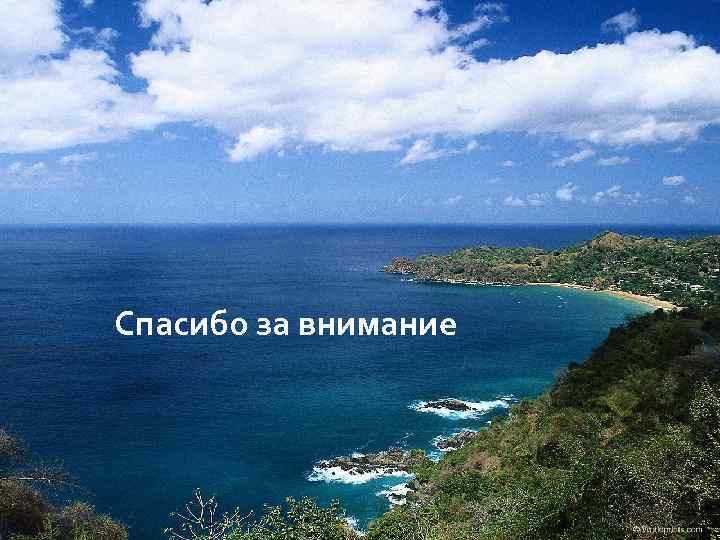 Спасибо за внимание 