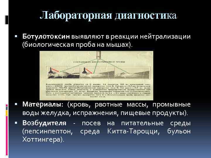 Лабораторная диагностика Ботулотоксин выявляют в реакции нейтрализации (биологическая проба на мышах). Материалы: (кровь, рвотные