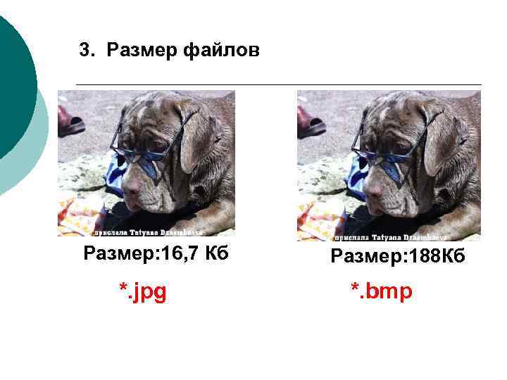 3. Размер файлов Размер: 16, 7 Кб *. jpg Размер: 188 Кб *. bmp