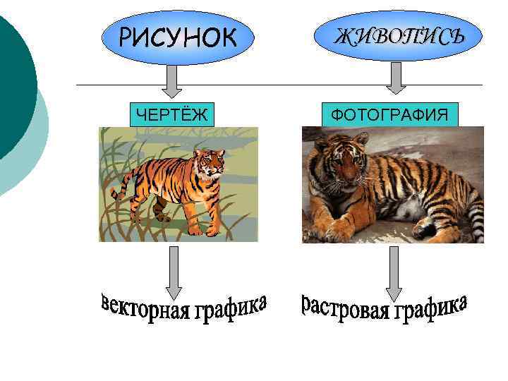 РИСУНОК ЧЕРТЁЖ ЖИВОПИСЬ ФОТОГРАФИЯ 