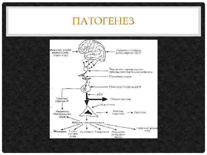 Болезнь иценко кушинга схема