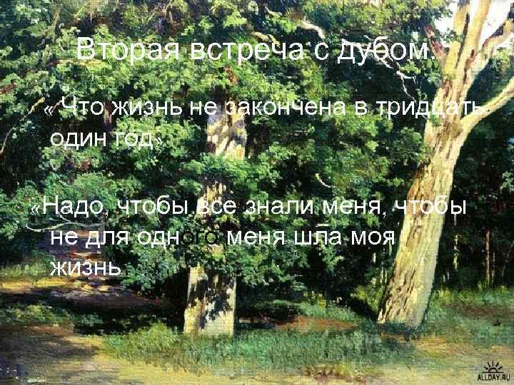 Вторая встреча с дубом. « Что жизнь не закончена в тридцать один год» «Надо,