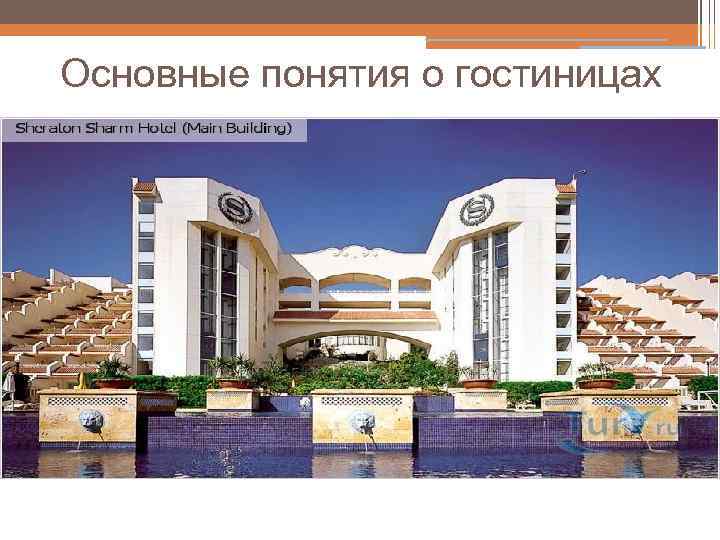 Основные понятия о гостиницах 