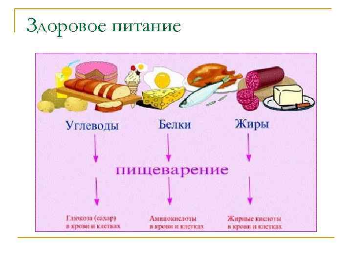 Здоровое питание 