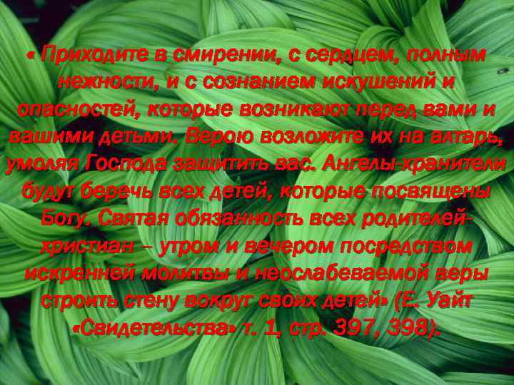  « Приходите в смирении, с сердцем, полным нежности, и с сознанием искушений и