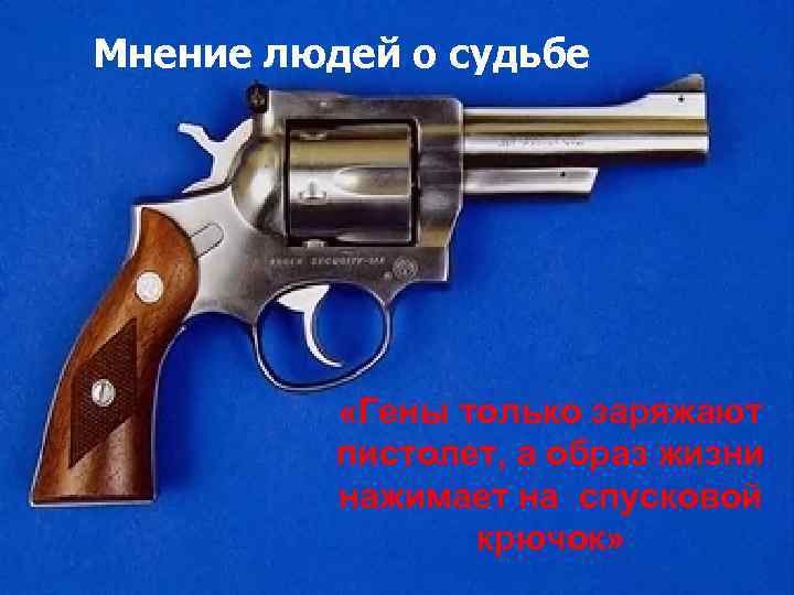 Мнение людей о судьбе «Гены только заряжают пистолет, а образ жизни нажимает на спусковой