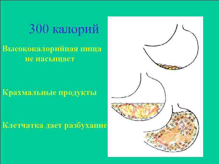 300 калорий Высококалорийная пища не насыщает Крахмальные продукты Клетчатка дает разбухание 