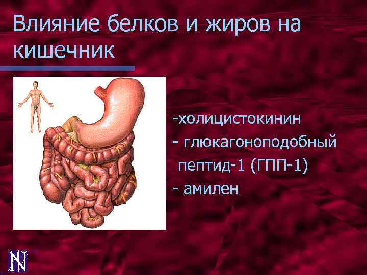 Глюкагоноподобный пептид. ГПП-1 глюкагоноподобный пептид. Глюкагоноподобного пептида-1 (ГПП-1). Гормон ГПП 1.