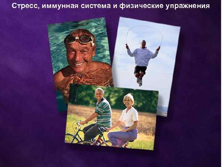 Стресс, иммунная система и физические упражнения 